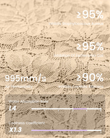 High Waist Lace V-Cut Breathable Shaping Panties (3 Pack)